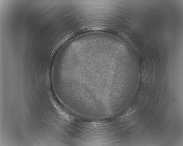 X0000056340394200509161741