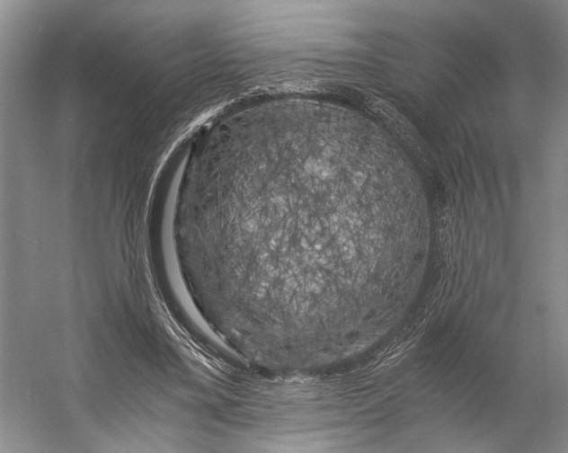 X0000056340395200509161741