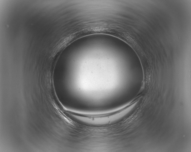 X0000056340397200509161741