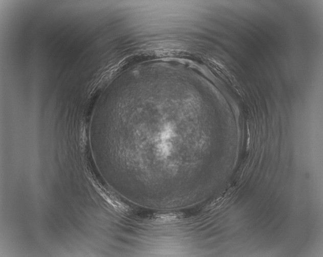 X0000056340405200509161741
