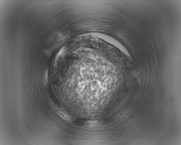 X0000056340406200509161741