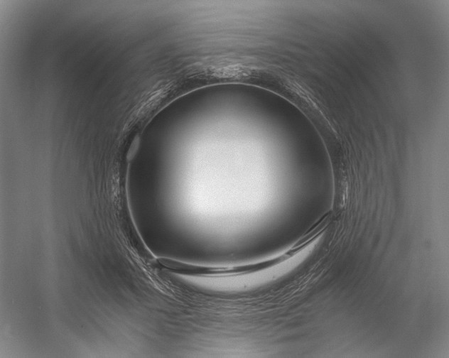 X0000056340407200509161741