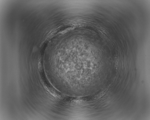 X0000056340408200509161741