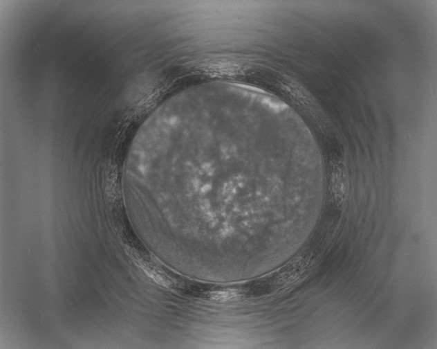 X0000056340411200509161741