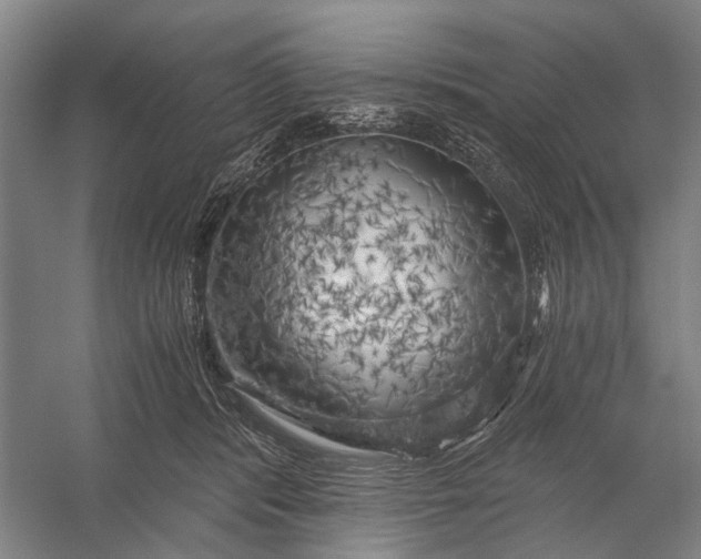 X0000056340416200509161741