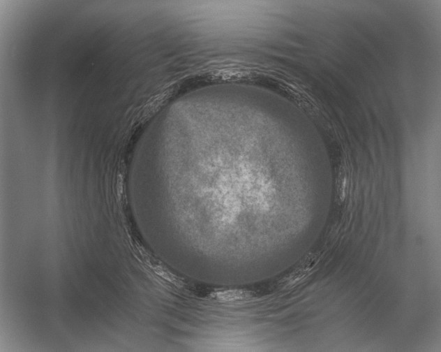 X0000056340417200509161741