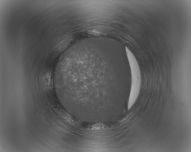 X0000056340420200509161741