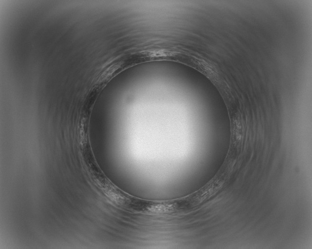 X0000056340422200509161741