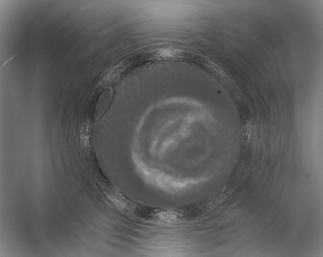 X0000056340423200509161741