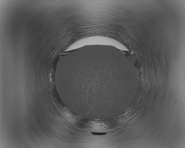 X0000056340424200509161741