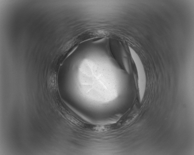 X0000056340425200509161741