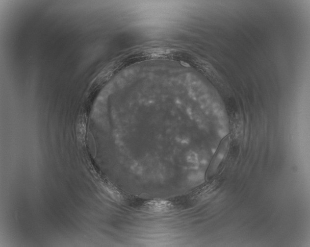 X0000056340427200509161741
