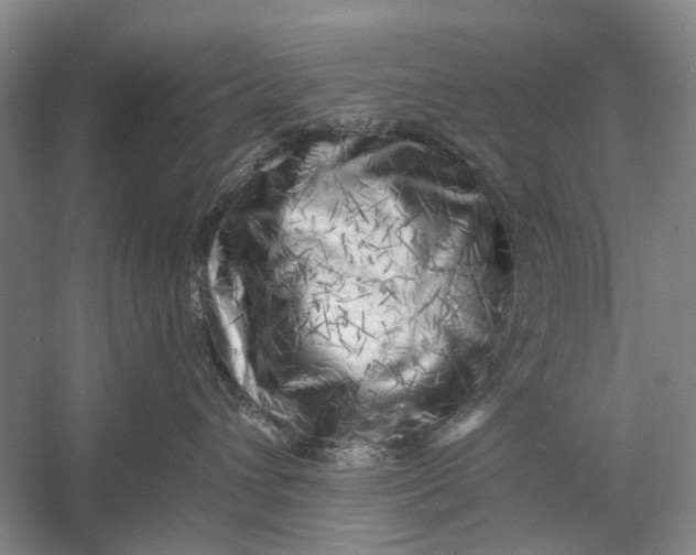 X0000056340432200509161740