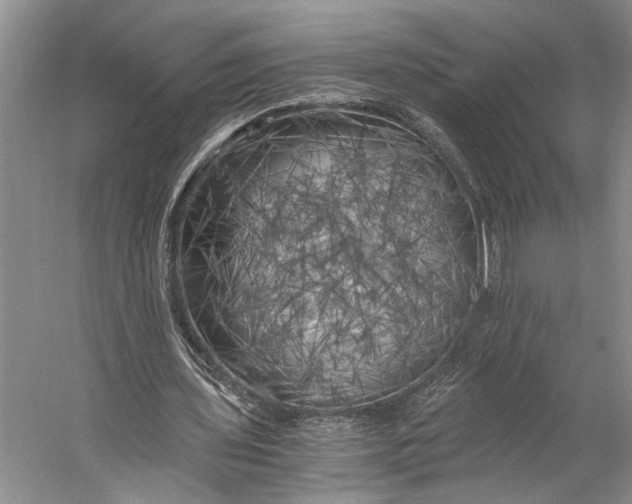 X0000056340435200509161740
