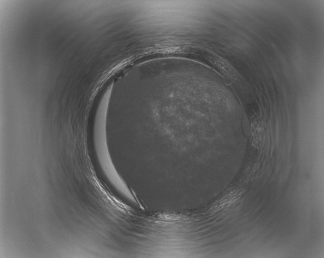 X0000056340442200509161740