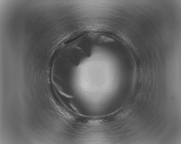 X0000056340450200509161740