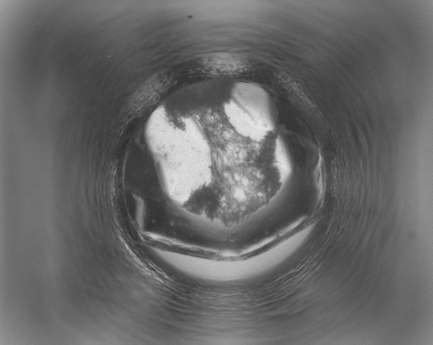 X0000056340451200509161740