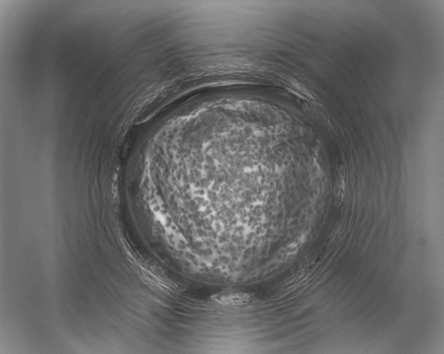 X0000056340452200509161740