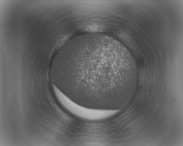 X0000056340453200509161740