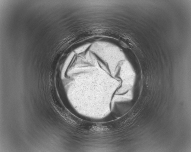X0000056340455200509161740