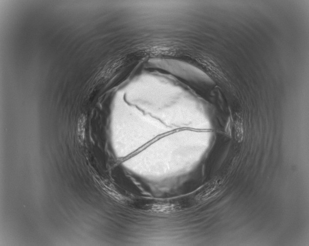 X0000056340458200509161740