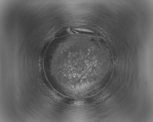 X0000056340462200509161740