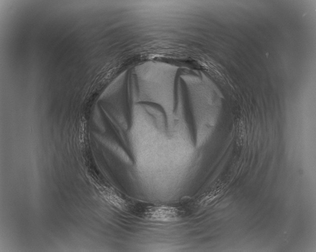 X0000056340463200509161740