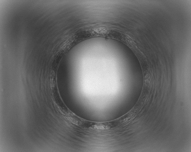 X0000056340464200509161740