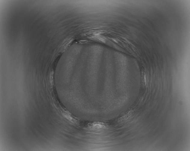X0000056340475200509161740