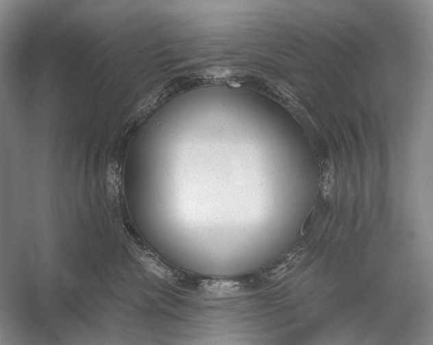 X0000056340476200509161740