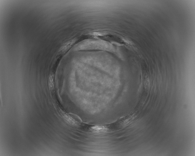 X0000056340477200509161740