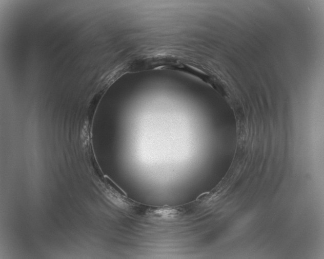 X0000056340478200509161740