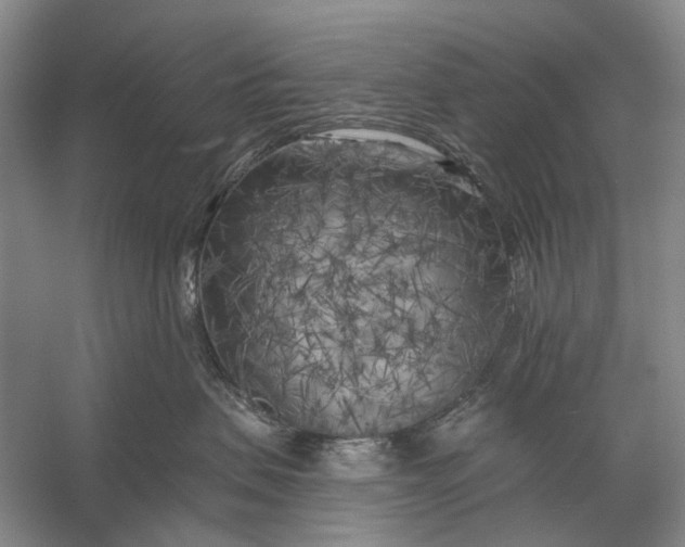 X0000056340479200509161740