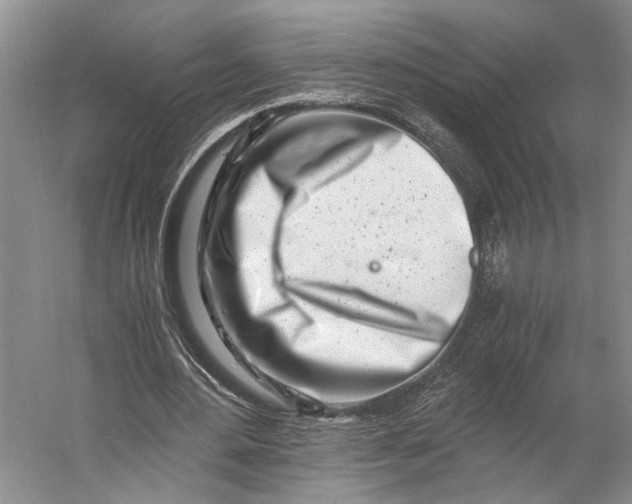 X0000056340484200509161740