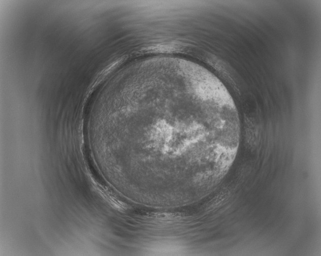 X0000056340486200509161740