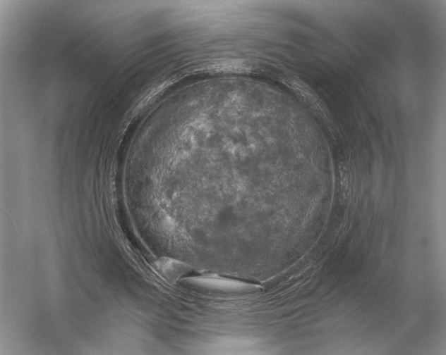 X0000056340487200509161739