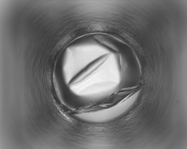 X0000056340489200509161739