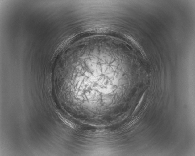 X0000056340493200509161739