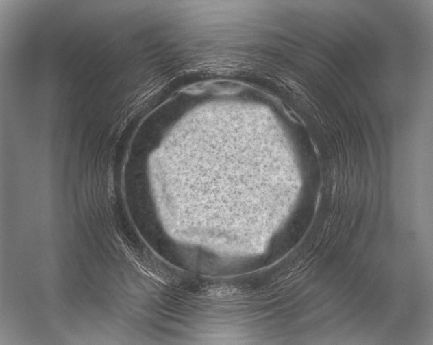X0000056340500200509161739