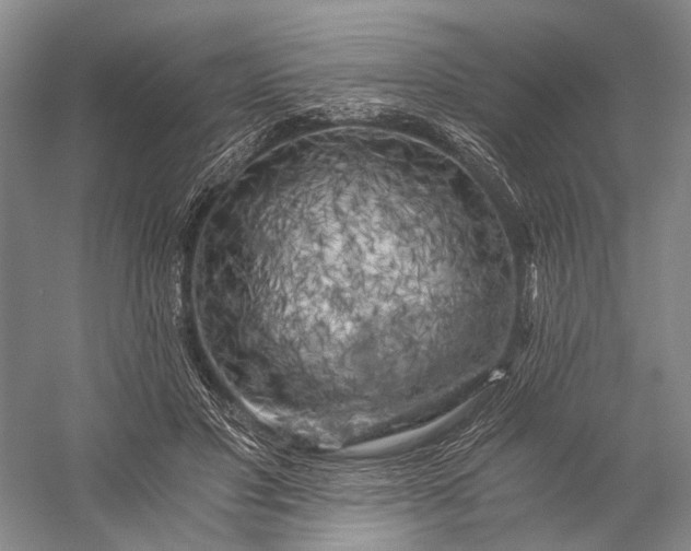X0000056340501200509161739