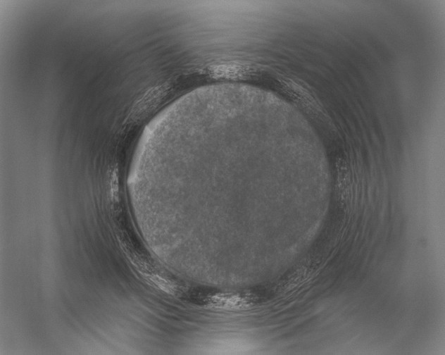 X0000056340502200509161739