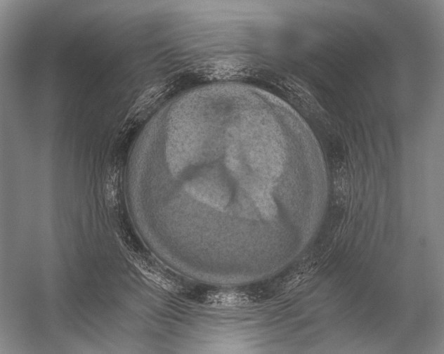 X0000056340503200509161739