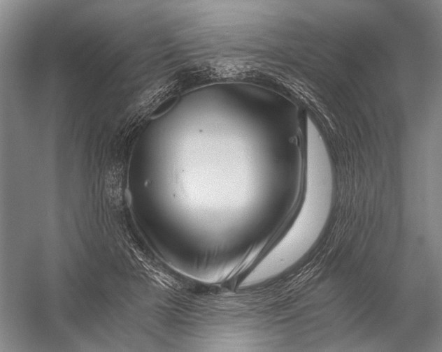 X0000056340505200509161739