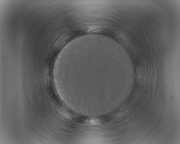 X0000056340506200509161739