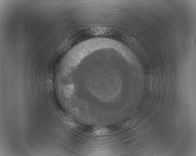 X0000056340510200509161739