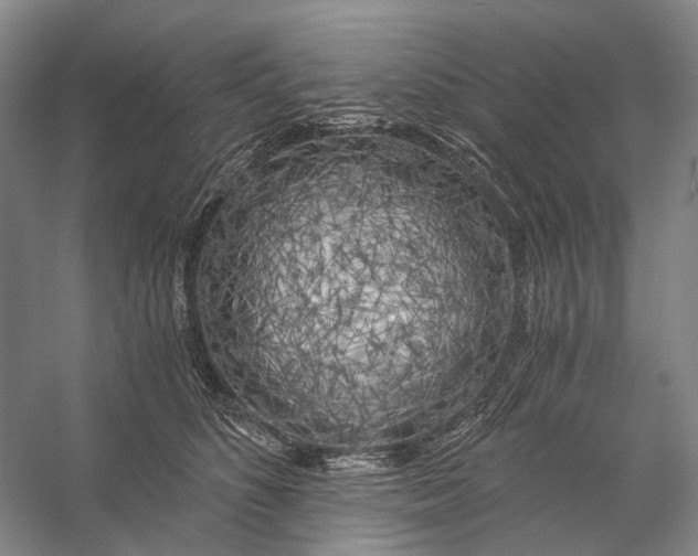 X0000056340516200509161739