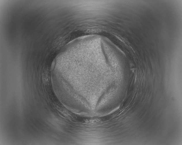 X0000056340517200509161739