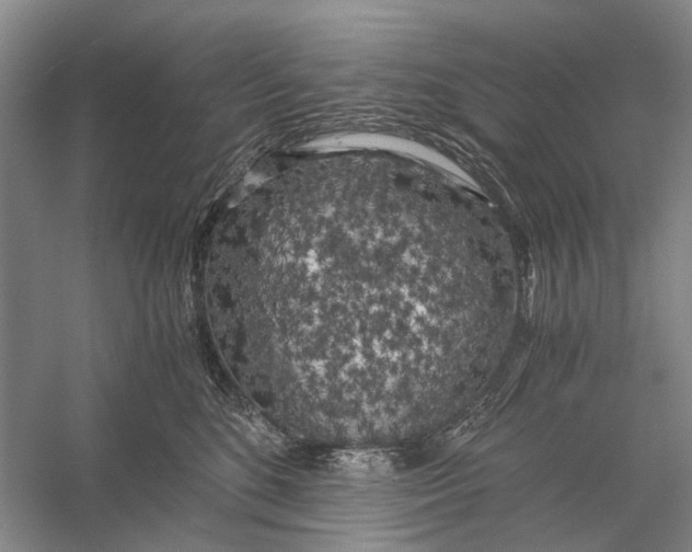 X0000056340520200509161739