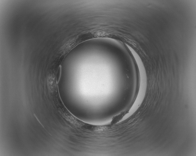 X0000056340521200509161739