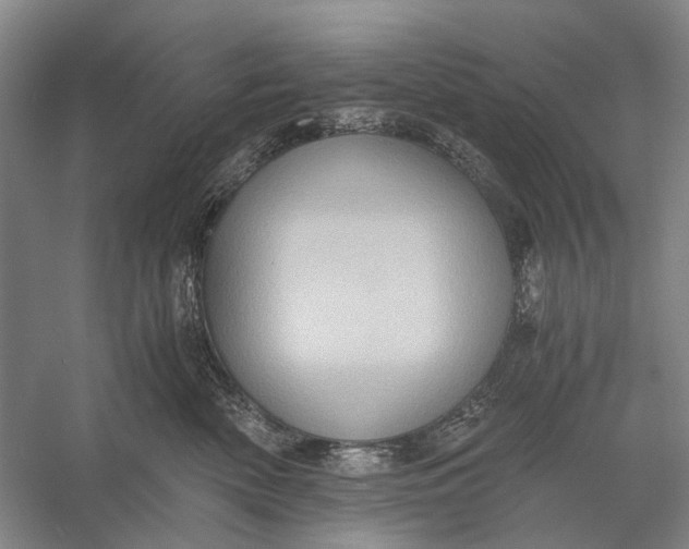 X0000056340522200509161739